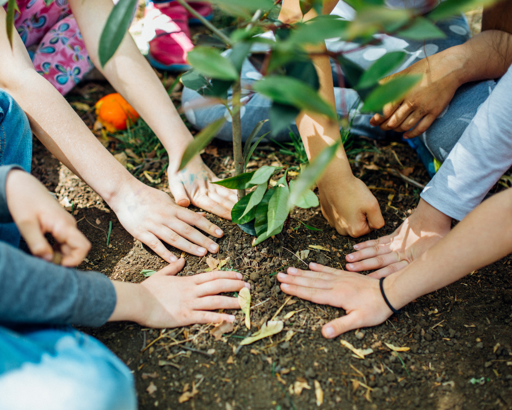 Featured image for “Celebrate Earth Day: Easy Ways to Help Our Planet”